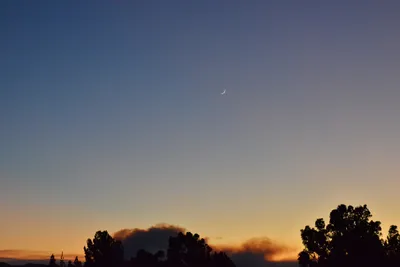 DSC_5608 (Large).JPG